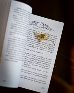 Read more about the article The Magic of Edelweiss: In My World and Ours
