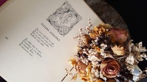 Read more about the article Enjoying the Quiet (Bits from the January’s Newsletter)