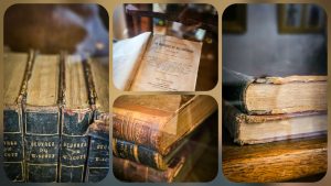 Read more about the article Autumnal